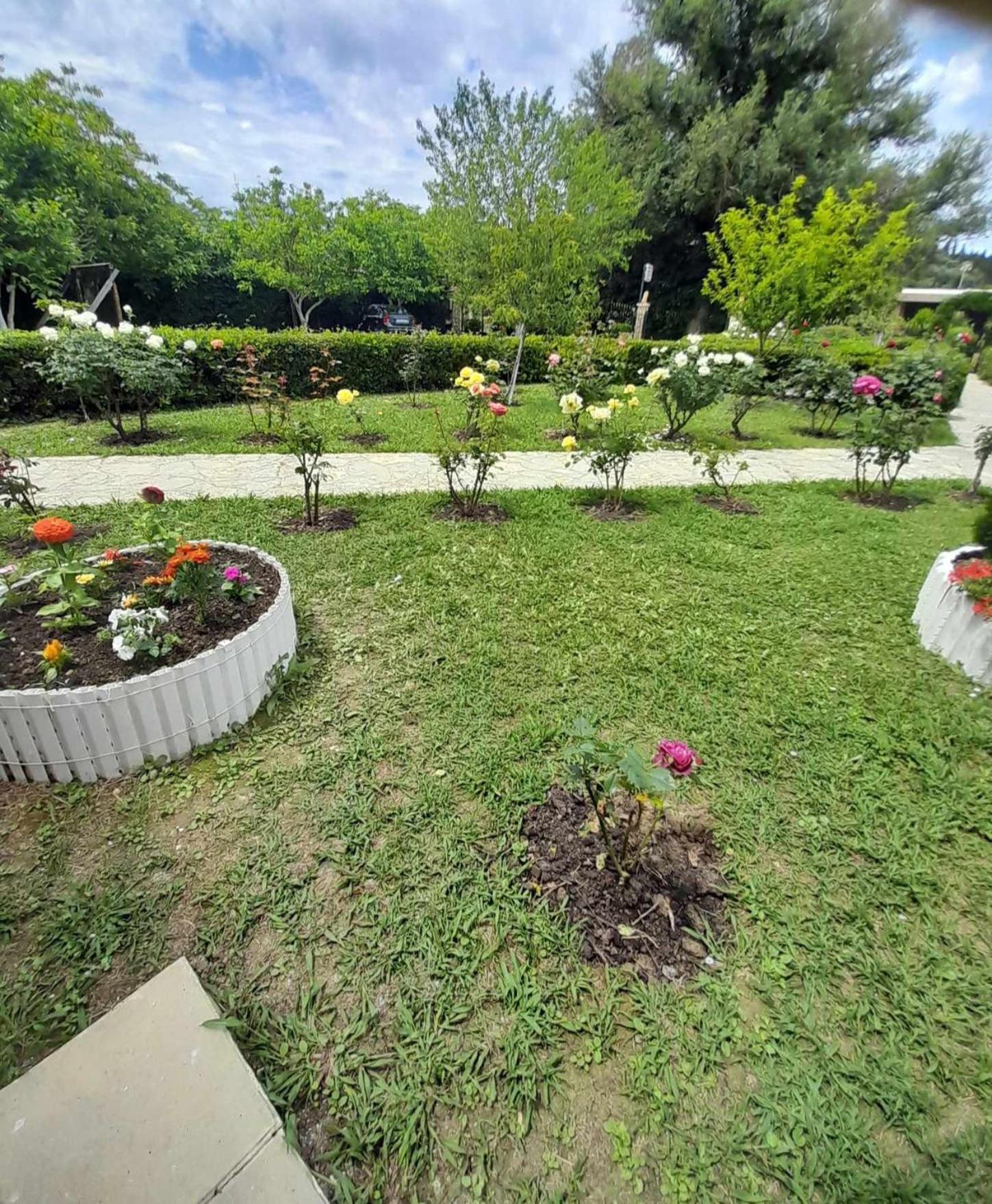 Artemis Studios & Apartments Sidari Екстер'єр фото