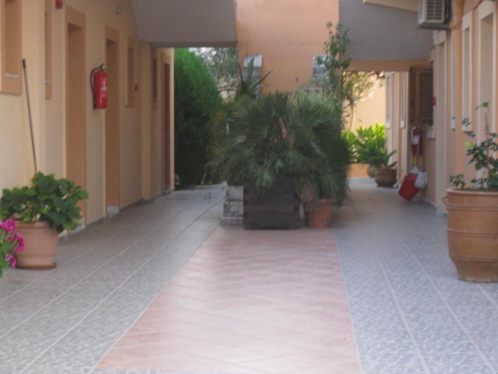 Artemis Studios & Apartments Sidari Екстер'єр фото